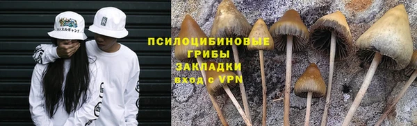 ГАЛЛЮЦИНОГЕННЫЕ ГРИБЫ Магадан