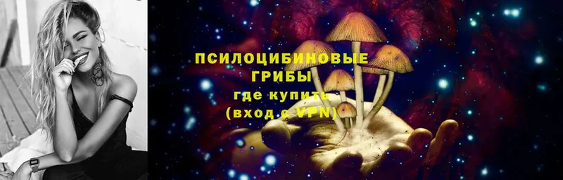 магазин продажи наркотиков  маркетплейс формула  Галлюциногенные грибы Magic Shrooms  Дно  mega зеркало 