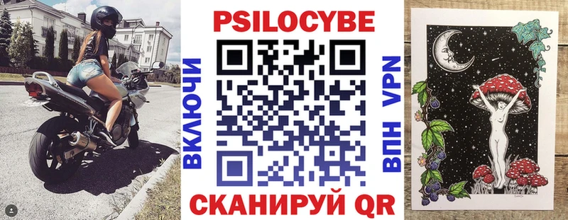 закладка  Дно  Псилоцибиновые грибы Psilocybe 
