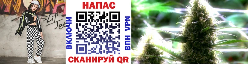 Бошки марихуана THC 21%  Дно 